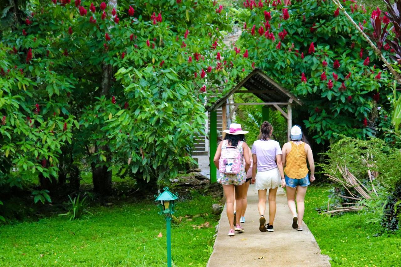 Suchipakari Amazon Eco -Lodge & Jungle Reserve Misahualli Exterior photo