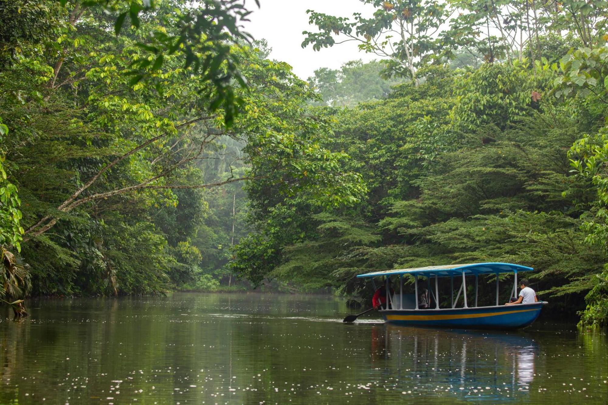 Suchipakari Amazon Eco -Lodge & Jungle Reserve Misahualli Exterior photo