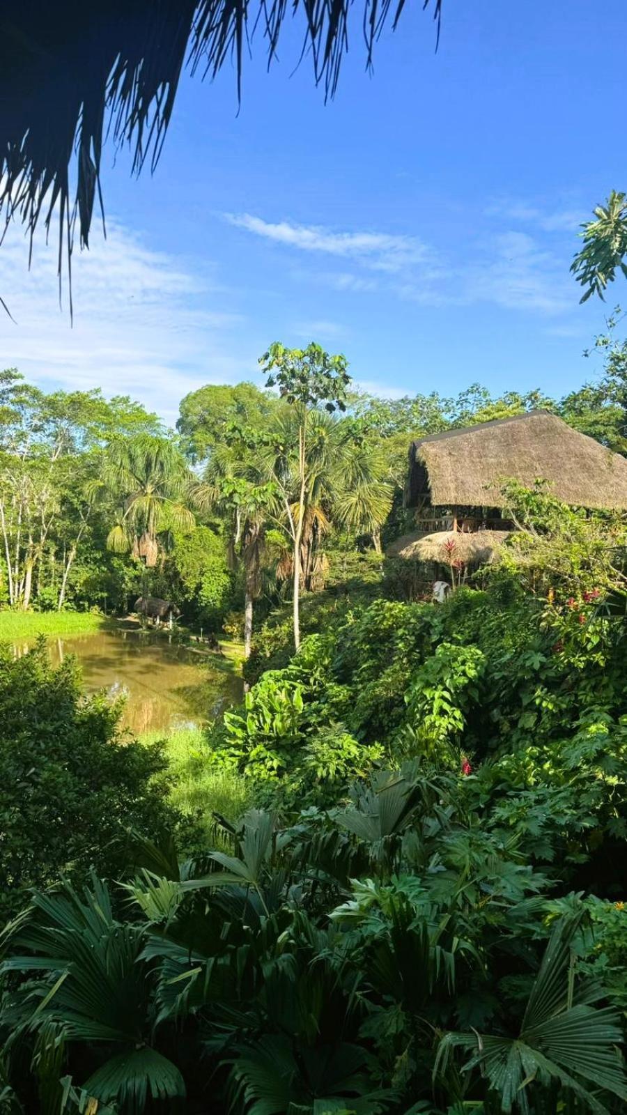 Suchipakari Amazon Eco -Lodge & Jungle Reserve Misahualli Exterior photo