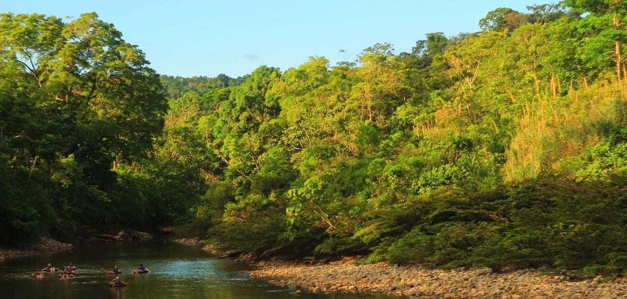 Suchipakari Amazon Eco -Lodge & Jungle Reserve Misahualli Exterior photo