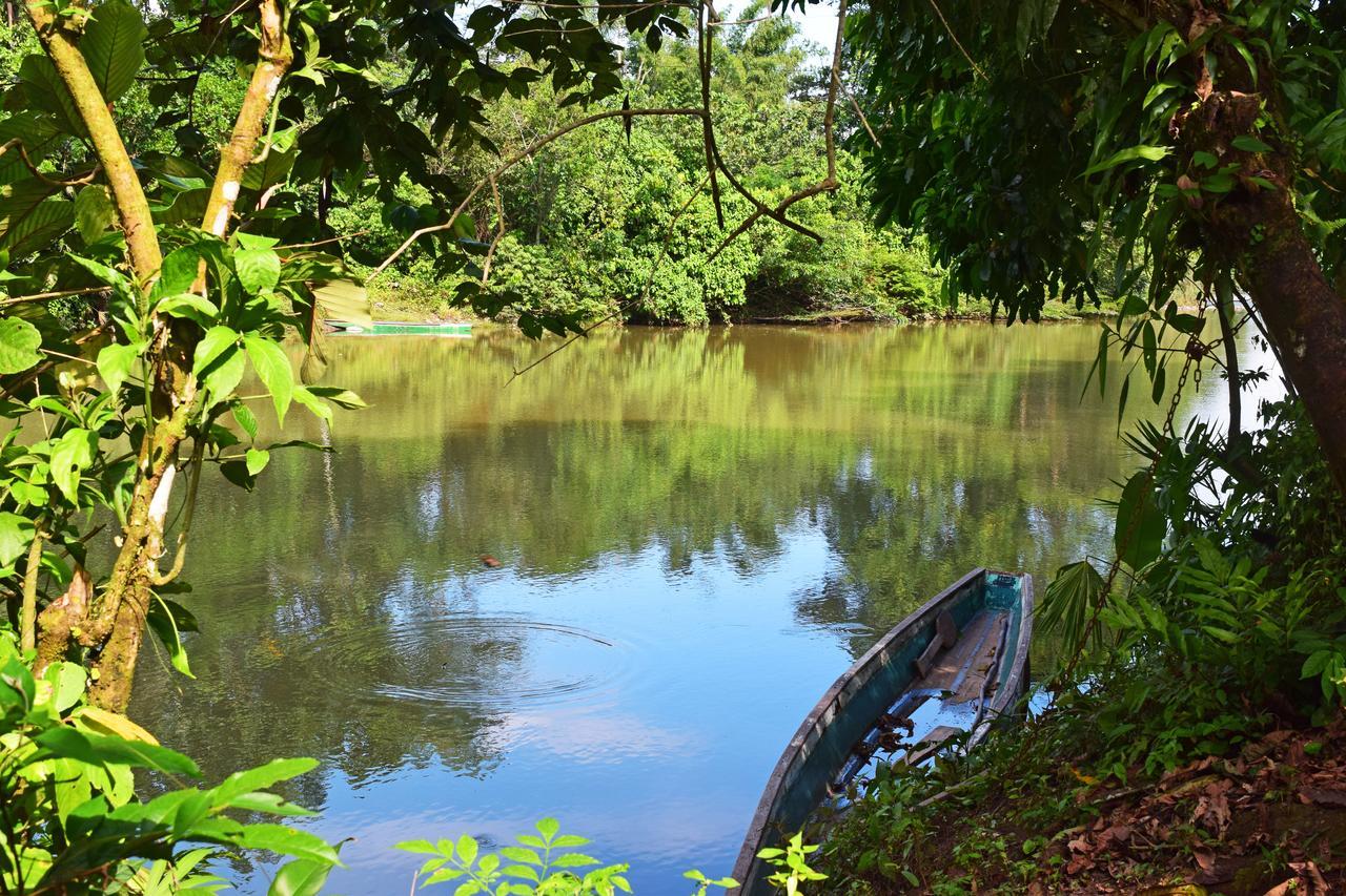 Suchipakari Amazon Eco -Lodge & Jungle Reserve Misahualli Exterior photo